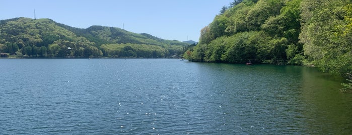 木崎湖 is one of あづみ野ポタ♪.