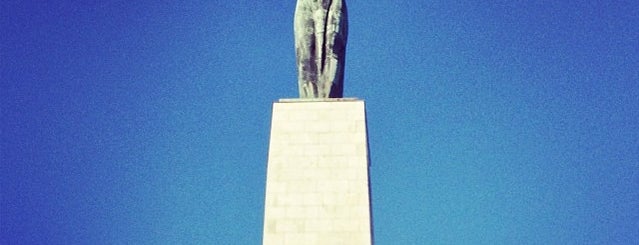 Statue de la Liberté is one of Budapest.
