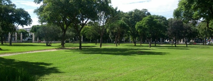 Parque del Vino Fino is one of Lugares visitados.