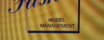 Fashion Model Agency is one of สถานที่ที่ Daria ถูกใจ.