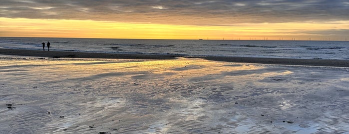 Strand Egmond Aan Zee is one of Most Beautiful Places.