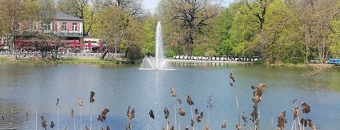 Carolasee is one of Großer Garten Dresden 4/5🇩🇪.