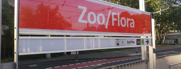 H Zoo/Flora is one of KVB Stadtbahn Haltestellen.