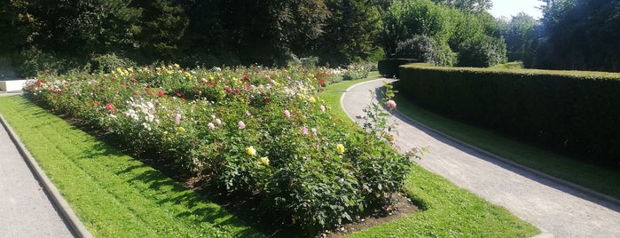 Rose Garden at Fort X is one of Sightseeing in Cologne.