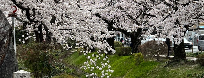 道標「石川丈山先生舊蹟詩仙堂 北十二町」 is one of たてた。２.