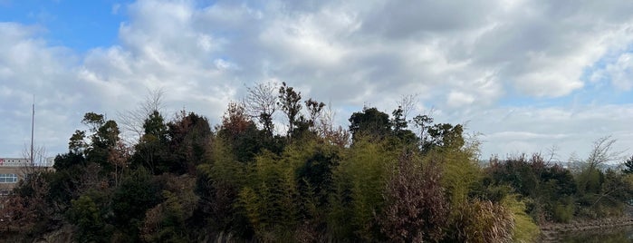 峯ヶ塚古墳 is one of 西日本の古墳 Acient Tombs in Western Japan.