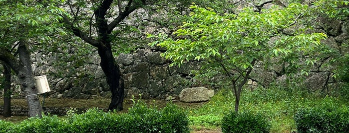 Kakuzan Park (Tsuyama-jo Castle Ruins) is one of 日本の100名城.