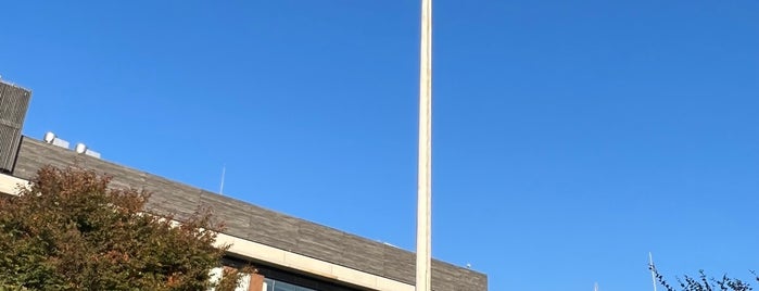 第18回オリンピック大会(1964)で、参加各国の国旗を掲揚する為に国立競技場に建てられたポール is one of 気になる.