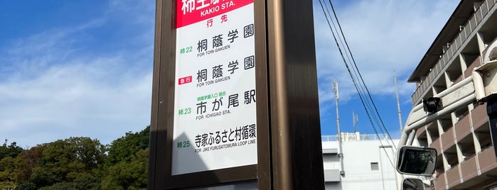 柿生駅北口 バスターミナル is one of お花見ポタ♪.