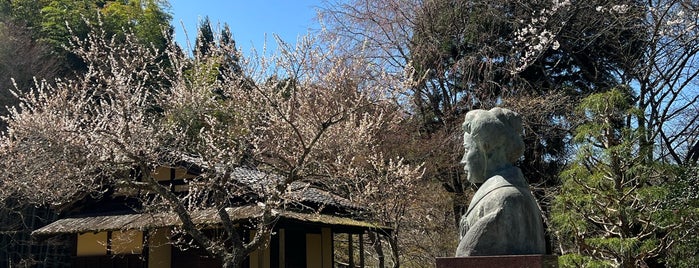 下田歌子勉学所 is one of 銅像.
