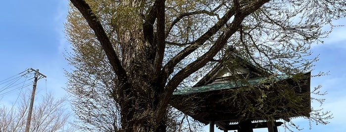 愛染カツラ is one of abandoned places.