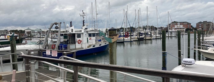 Cobb's Marina is one of Marine Supplies and Equipment.