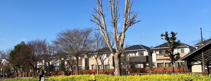 中原ふれあい防災公園 is one of Japan.