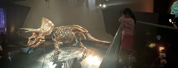 Melbourne Museum is one of Things to Try in Australia.