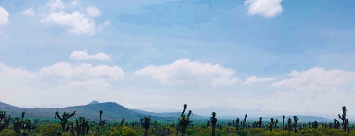 Carretera San Luis Potosi-Matehula is one of Lugares favoritos de Natalia.