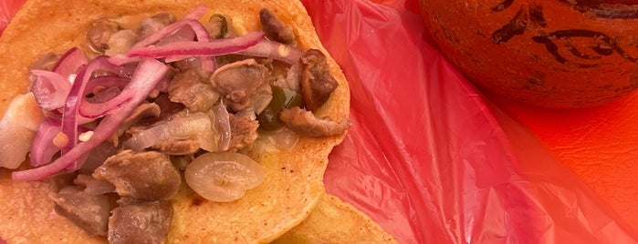 Tacos de Guisado Jairito is one of a probar.