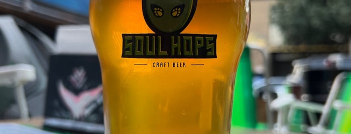 Soul Hops Cervejas Artesanais e Restaurante Berrini is one of Craft beer in São Paulo.