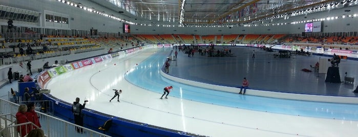 Adler Arena is one of Tempat yang Disukai Иришка.