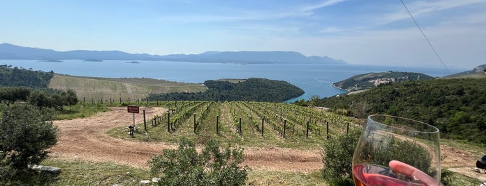 Winery Rizman is one of Croatia.