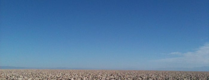 Salar De Atacama is one of San Pedro de Atacama.