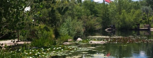 ABQ BioPark Botanic Garden is one of Road Trip: Austin, TX to Santa Fe, NM.