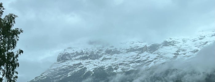 Grindelwald is one of merak edilen yerler.