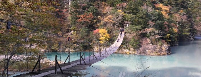 夢の吊橋 is one of アウトドアスポット.