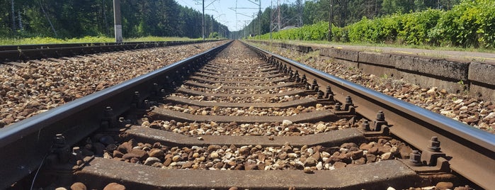 LDZ | Dzelzceļa stacija "Pabaži" is one of Города.