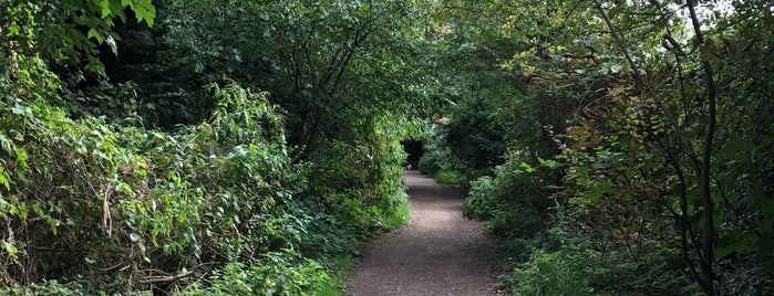 Parkland Walk (Muswell Hill Section) is one of Little London.