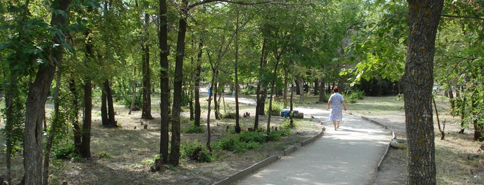Парк им. Гагарина is one of Парки в Саратове.