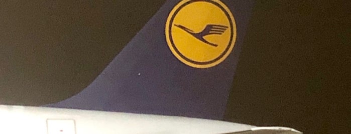 Lufthansa Flight LH 173 is one of Flights.
