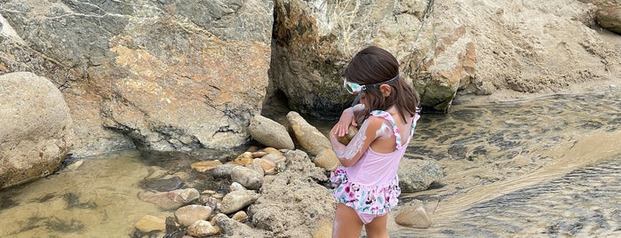 Tide Pools is one of Beach.