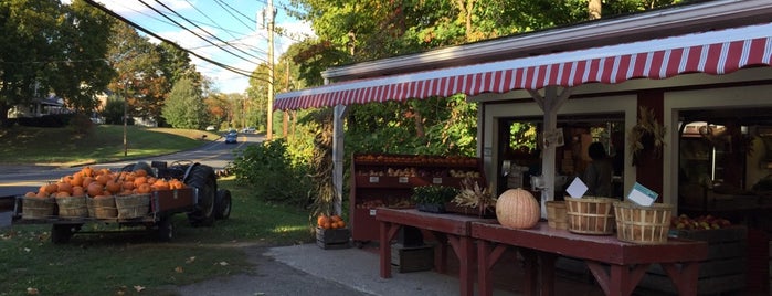 Berruti's Farm stand is one of Elaine’s Liked Places.