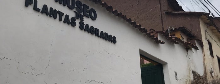 Museo de Plantas Sagradas is one of Locais curtidos por Taylor.