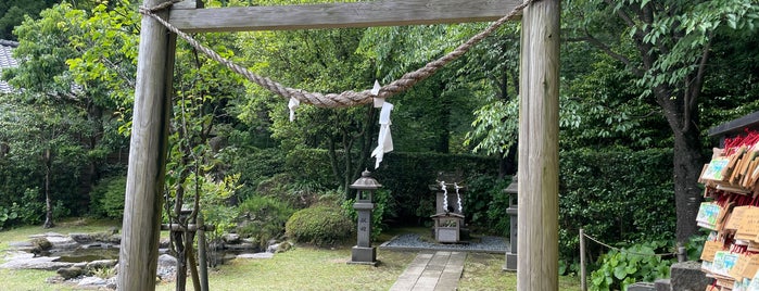 猫神社 is one of 謎ベニュー.