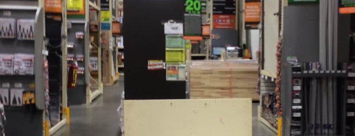 The Home Depot is one of anel.