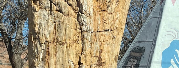 Worlds Largest Petrified Tree is one of places.