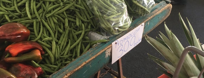 Ferias del Agricultor