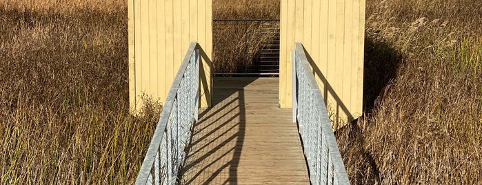 Alviso Marina County Park is one of SF Bay Area - II: Parks & Trails.