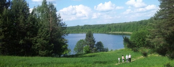 Nature preserve of Nizhny Novgorod