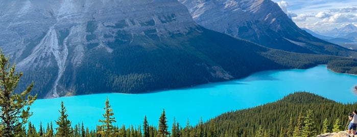 Peyto Lake is one of Locais curtidos por Lizzie.