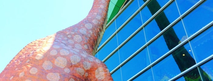 The Children's Museum of Indianapolis is one of Things to Do in Downtown Indy.