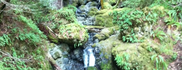 Cataract Falls is one of Hiking Trails.