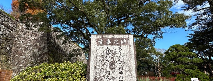 鹿持雅澄 愛妻之碑 is one of 高知市の史跡.
