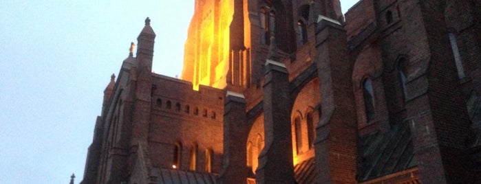 Christ Church Cathedral is one of Things To See In Newcastle, NSW.