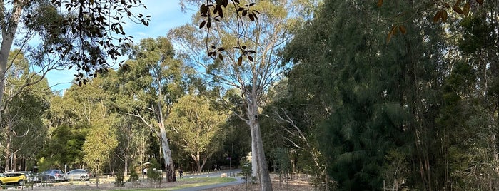 Parramatta Park is one of Lieux qui ont plu à Morris.