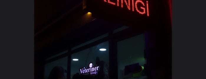Dost El Veteriner Kliniği is one of Veteriner Klinikleri, İstanbul.