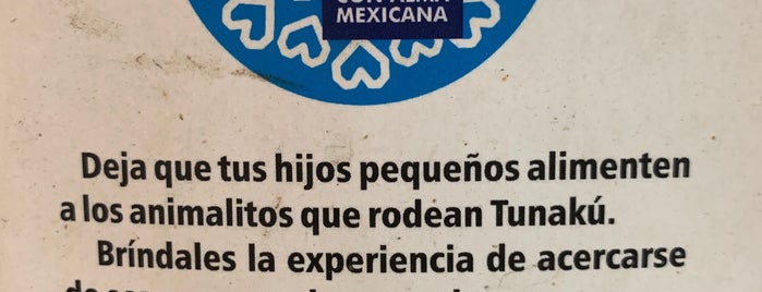 Tunaku "Con Alma Mexicana" is one of Rst Cln.