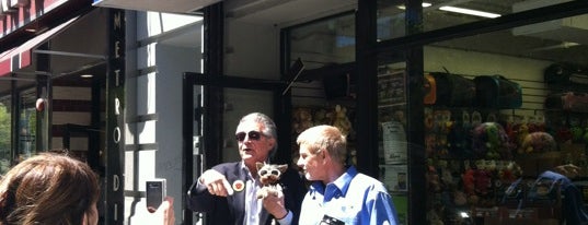 Pet Central is one of The 15 Best Pet Stores in New York City.