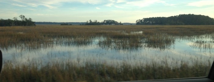 The Swamp is one of Lugares favoritos de Dan.